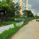 안남로206번길 이미지