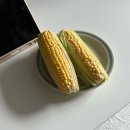 비전동 소로 3-96 | 2025 일곱번째(7월-1, 햇살이 내리는 사이 마다)