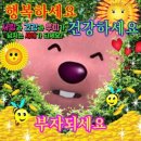 휴먼가발