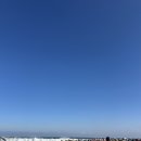 하늘애견 이미지