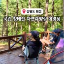 121 | 강원도 청태산 자연휴양림 121번 데크 후기 위치, 명당