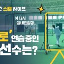 나홀로캠프 이미지