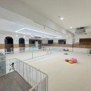 율무네애견 이미지