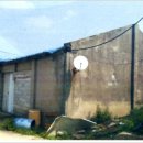 생일면-1 이미지