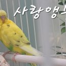 부천자연생태박물관 이미지