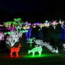 동화나라 이미지