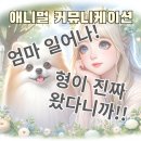 새라유치원 | 말티즈 돌연사 다견가정 펫로스 증후군 크림 포메 극복기 동물 대화 中