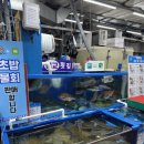 벌교오일시장4 | 강서수산시장 쌍둥이벌교횟집에서 내돈내산 물회 포장