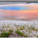 옐로우스톤 이미지