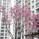 호반써밋1차 작은도서관 이미지