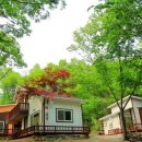 느티나무펜션 이미지