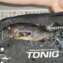 동해축산 이미지