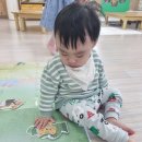 꼭꼭 숨어라 동물들아 이미지