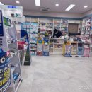 (주)오스템 | 임플란트 뼈이식·기둥 식립 후기 (오스템 임플란트 보증서 포함)