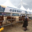 박창남 이미지