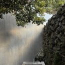 답다니언덕집 | 제주 애월 답다니언덕집: 야외 자쿠지가 있는, 고요하고 감성적인 독채 숙소 | 제주 서쪽 에어비앤비