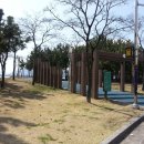 솔밭숯불갈비 이미지