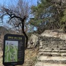 자매순대 | 관악산 근처 맛집 과천 순대국집 자매순대국 내돈내산 후기