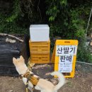 비학산로컬푸드