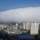 오봉도시락 송도고신대점 | 고신대치킨 충만치킨 부산대점 유 충만치킨 부산대점