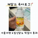 쭈니네꽈배기 | [임신 25~26주] 서울여행 & 임당검사 (임신 선물 - 베이비부스트, 노시부)