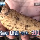 (주)천마푸드 - 47934 | (주)천마푸드