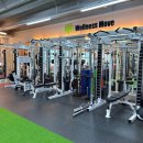 웰니스무브 이미지