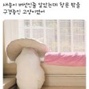 김없이 출고된 삼각김밥 이미지