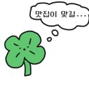 소양강민물장어 이미지