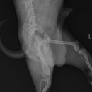 아쿠아동물병원 이미지