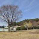 수태1리 네이버블로그