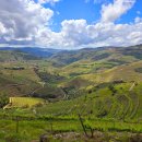 포도향이흐르는마을 | 포르투갈 북부 | 하늘 가까운 포도밭 마을