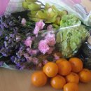 요산문학관 이미지