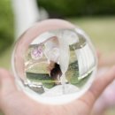 춘천세종호텔 이미지