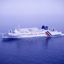 카멜리아 이미지