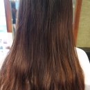 보리쌀롱 이미지