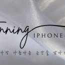 네임스냅 네이버블로그