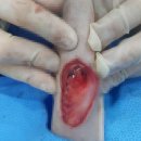 튼튼동물의료센터 이미지