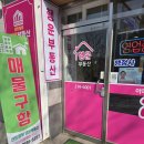 산의초등학교 | 광교 중앙역) 광교 센트럴뷰 아파트 센트럴뷰 행운 부동산 내 돈 내산 발품 후기