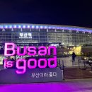 부산 카페 핫플 부산 영도 가볼만한곳 미피카페 귀염 뽀작 반해버림