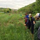 안산이농장 이미지