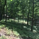 산지직송농산물