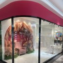 코코스몰 이미지