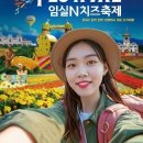 임실한우우량암소 | 임실치즈축제 일정, 전라북도 10월 축제