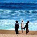 바다정원 이미지