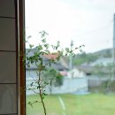 스테이여백 - 안동시 내앞길 7-6 | 스테이여백