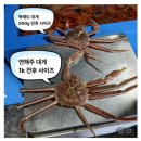 태안로 | 🦀 선창수산 킹크랩, 대게, 도다리회, 광어회 내돈내산 후기 (+ 싯가)