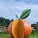 신효동-12 이미지