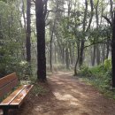 비학산 누리길 이미지