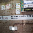 노유경헤어 이미지